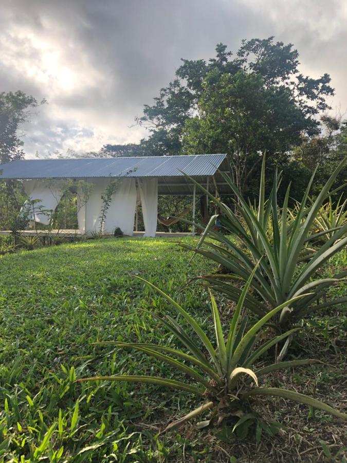 Soursop Hostel Cueta Exteriör bild